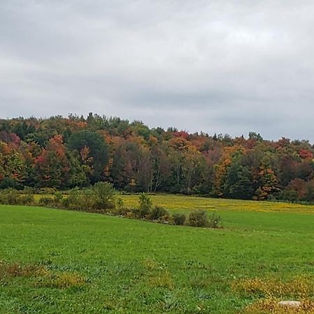 Cozy Country Farm Stay Fredonia Экстерьер фото