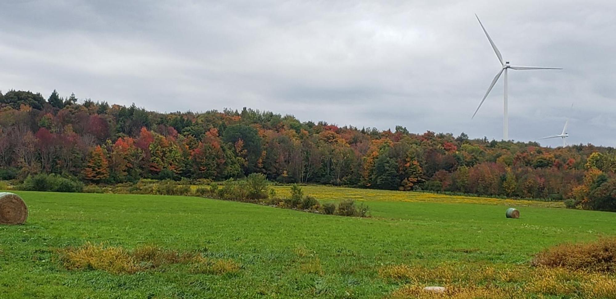 Cozy Country Farm Stay Fredonia Экстерьер фото